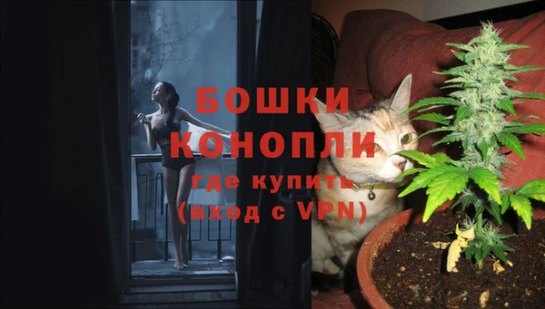 марки nbome Белокуриха
