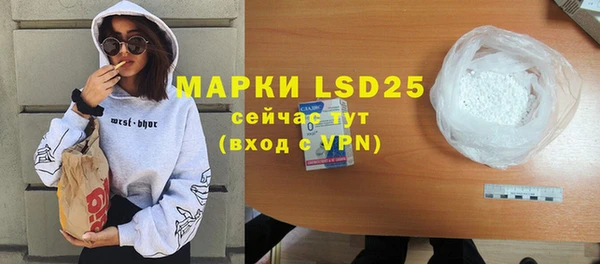 шишки Богородицк